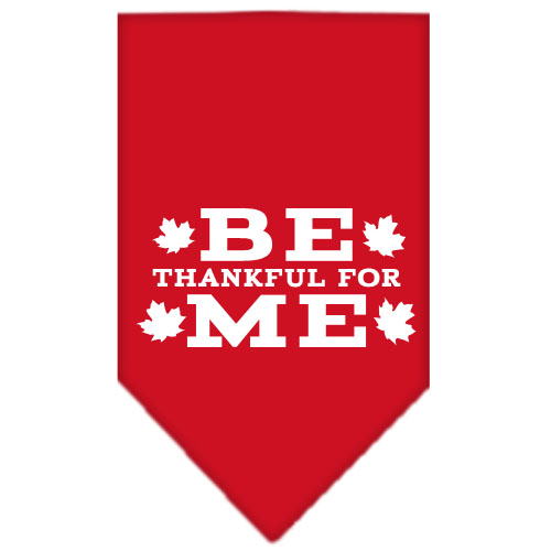 Be Thankful for Me Screen Print Bandana Red Large
